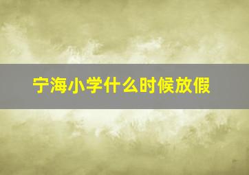 宁海小学什么时候放假