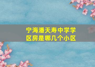 宁海潘天寿中学学区房是哪几个小区