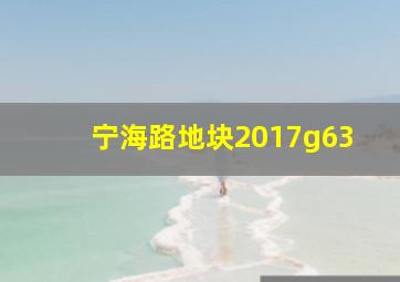 宁海路地块2017g63