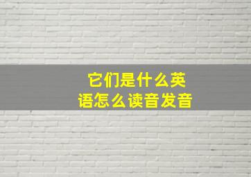 它们是什么英语怎么读音发音