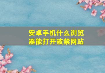 安卓手机什么浏览器能打开被禁网站