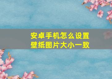 安卓手机怎么设置壁纸图片大小一致