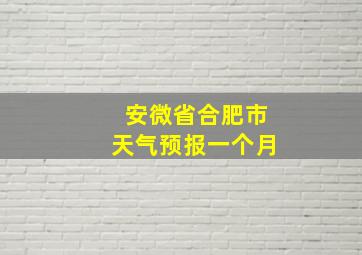 安微省合肥市天气预报一个月