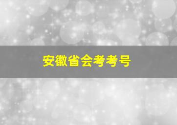 安徽省会考考号