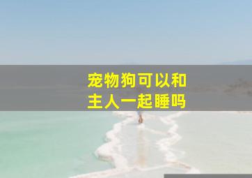 宠物狗可以和主人一起睡吗