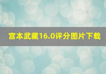 宫本武藏16.0评分图片下载