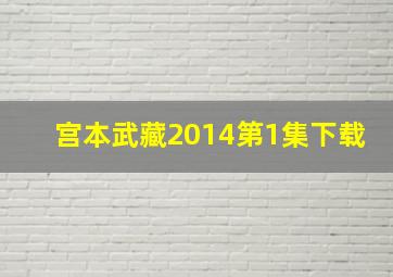 宫本武藏2014第1集下载