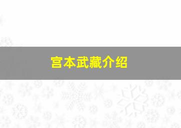 宫本武藏介绍