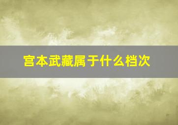 宫本武藏属于什么档次