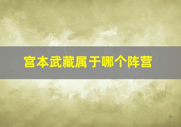 宫本武藏属于哪个阵营