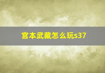 宫本武藏怎么玩s37