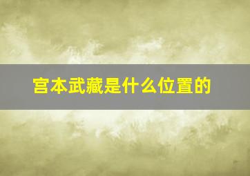 宫本武藏是什么位置的