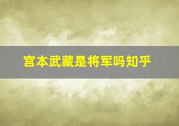 宫本武藏是将军吗知乎