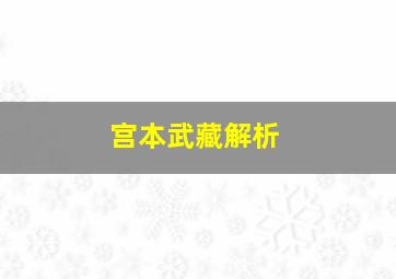 宫本武藏解析