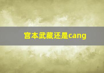 宫本武藏还是cang