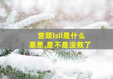 宫颈lsil是什么意思,是不是没救了