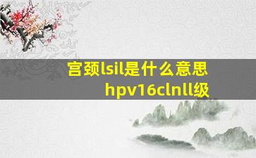 宫颈lsil是什么意思hpv16clnll级