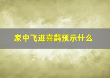 家中飞进喜鹊预示什么