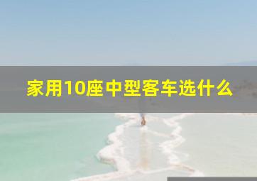 家用10座中型客车选什么