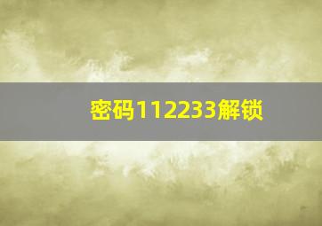 密码112233解锁