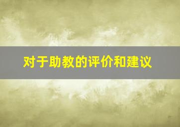 对于助教的评价和建议