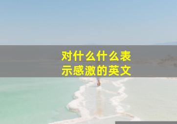 对什么什么表示感激的英文