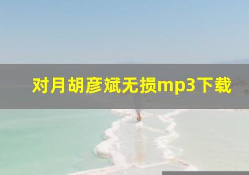 对月胡彦斌无损mp3下载