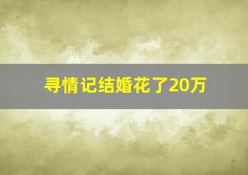 寻情记结婚花了20万