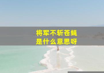 将军不斩苍蝇是什么意思呀