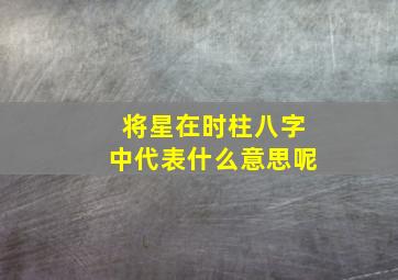 将星在时柱八字中代表什么意思呢