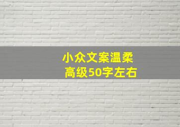 小众文案温柔高级50字左右