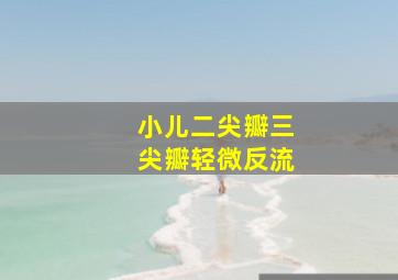 小儿二尖瓣三尖瓣轻微反流