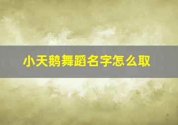 小天鹅舞蹈名字怎么取