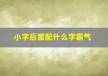 小字后面配什么字霸气