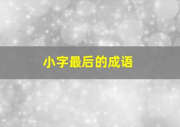 小字最后的成语