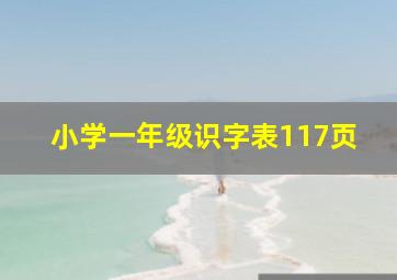 小学一年级识字表117页