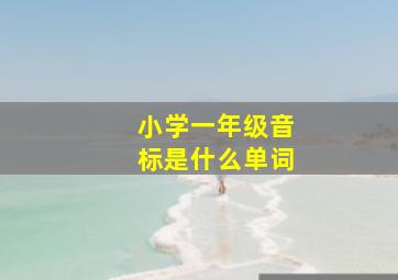 小学一年级音标是什么单词