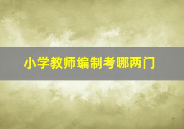 小学教师编制考哪两门