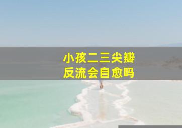 小孩二三尖瓣反流会自愈吗