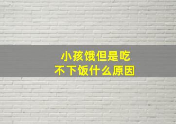 小孩饿但是吃不下饭什么原因