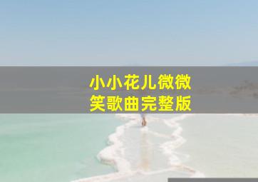 小小花儿微微笑歌曲完整版