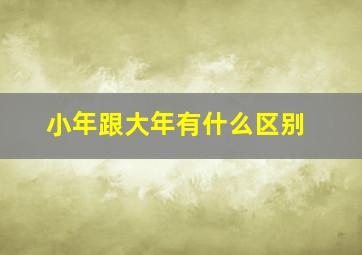 小年跟大年有什么区别