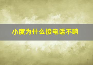 小度为什么接电话不响