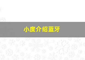 小度介绍蓝牙