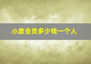 小度会员多少钱一个人