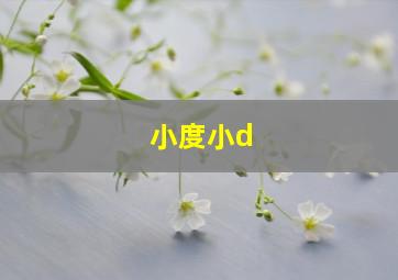 小度小d