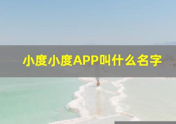 小度小度APP叫什么名字