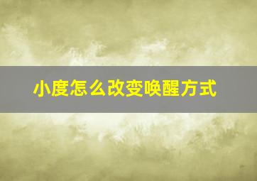 小度怎么改变唤醒方式