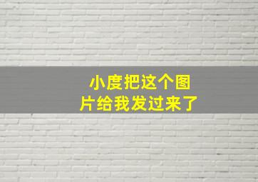 小度把这个图片给我发过来了