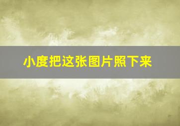 小度把这张图片照下来